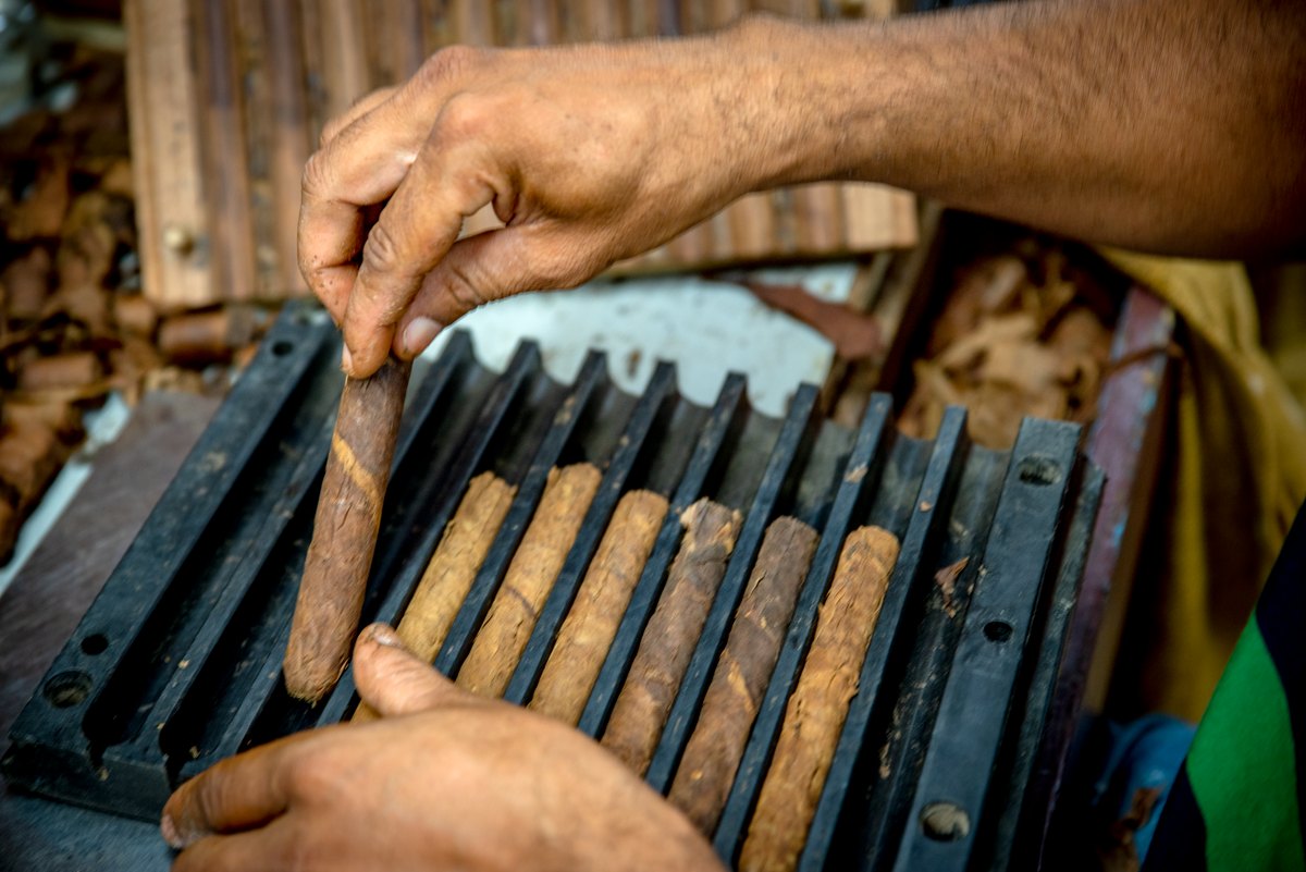 A craftsperson placing a cigar into a mould
